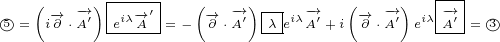     (    ) |----|  (    )         (    )  |--|
○5=  i-→∂ ⋅-→A′ eiλ-→A′ = - -→∂ ⋅-→A′-λ-eiλ-→A′+i -→∂ ⋅-→A′ eiλ--→A′ = 3○
